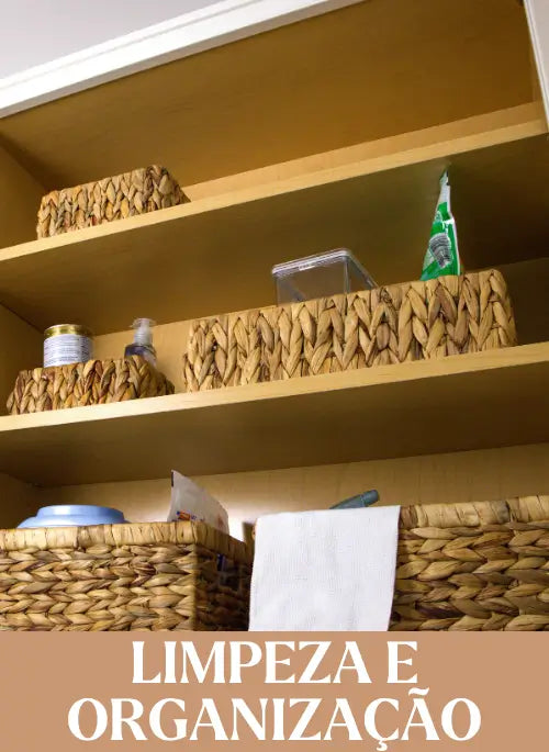 Limpeza e Organização