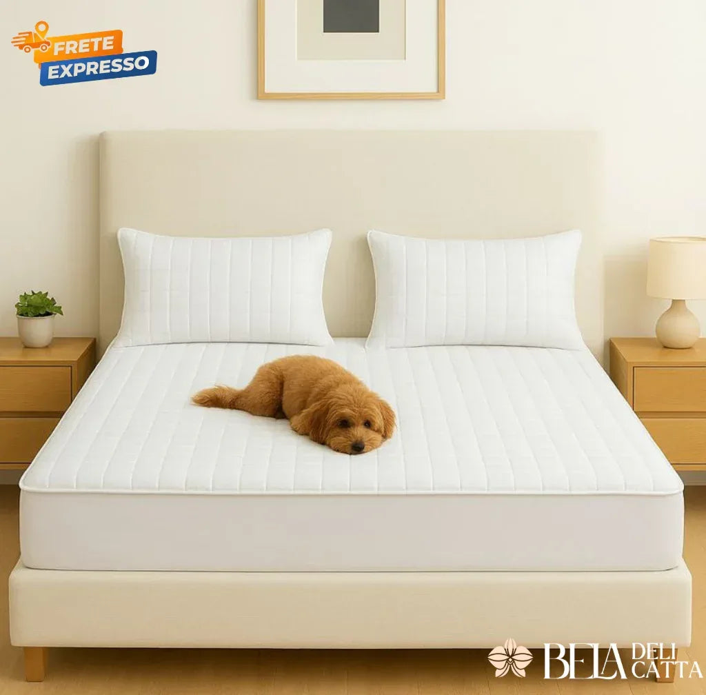 Capa impermeável Dream Shield — conforto e colchão protegido