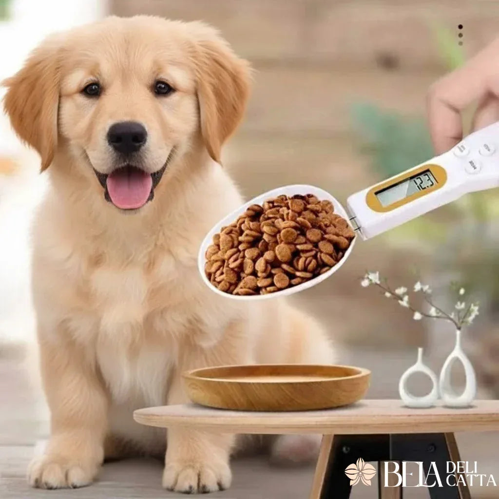 Colher Medidora Digital de Alta Precisão até 500g - ÚLTIMAS UNIDADES!!! - Bela Delicatta